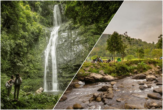 Cascade de Nam Kad et forêt vierge